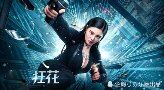 毕业证书编号和学历证书编号是一个吗